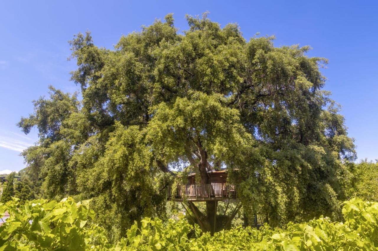 لا كروا فالميه Chateau De Valmer المظهر الخارجي الصورة