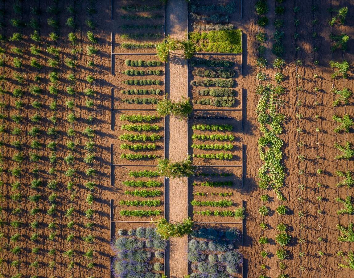 Chateau De Valmer لا كروا فالميه المظهر الخارجي الصورة