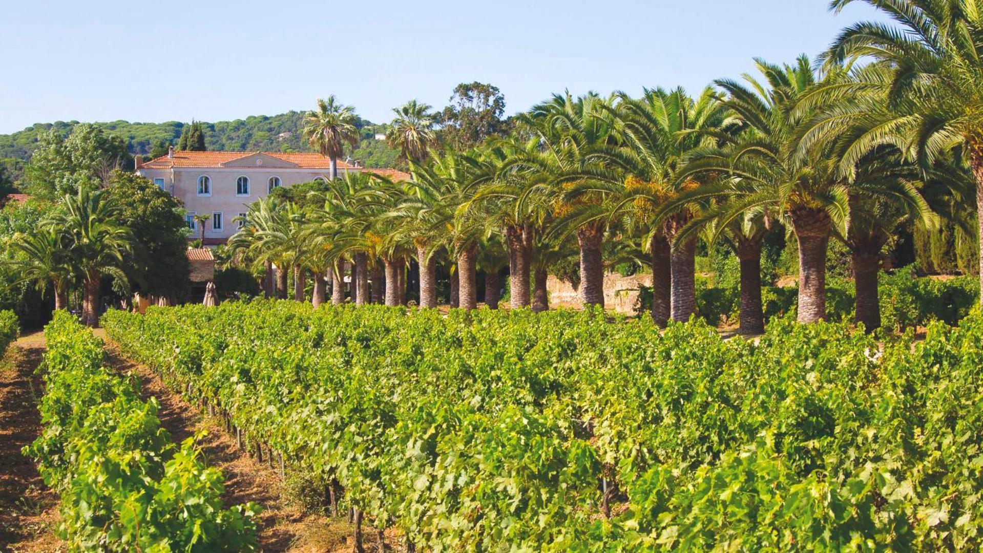 لا كروا فالميه Chateau De Valmer المظهر الخارجي الصورة